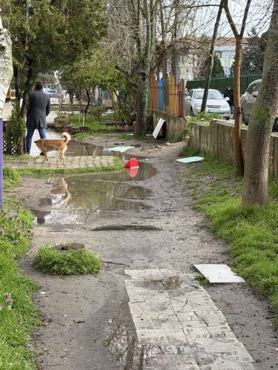 Yol ve Kaldırım
