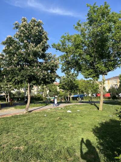 Çöp ve Temizlik
