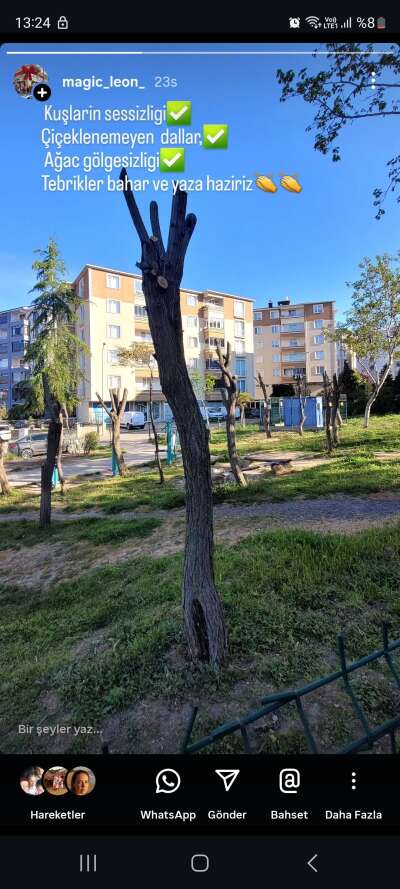 Park ve Bahçe
