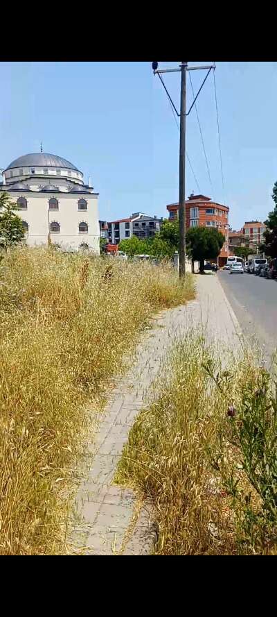 Park ve Bahçe