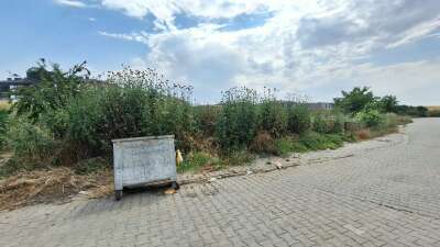 Park ve Bahçe