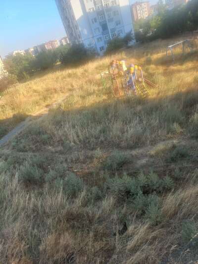 Park ve Bahçe