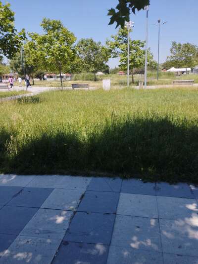 Park ve Bahçe