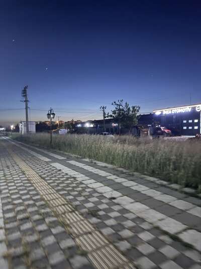 Park ve Bahçe