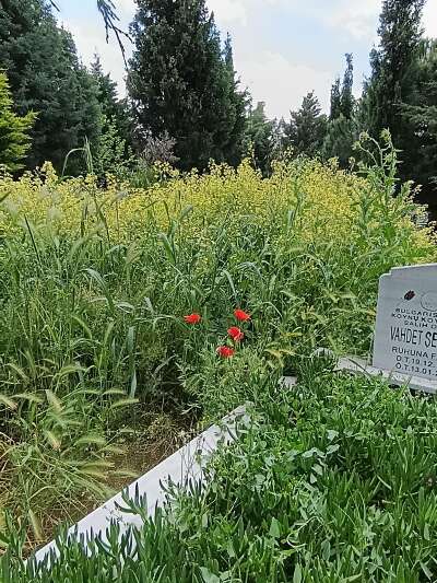 Cevre Temizliği