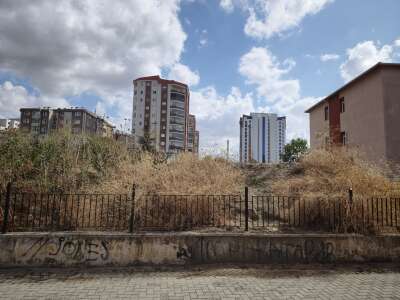 Park ve Bahçe