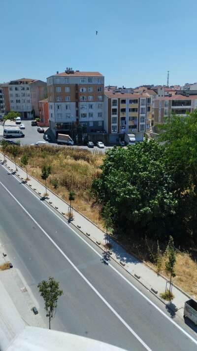 Park ve Bahçe