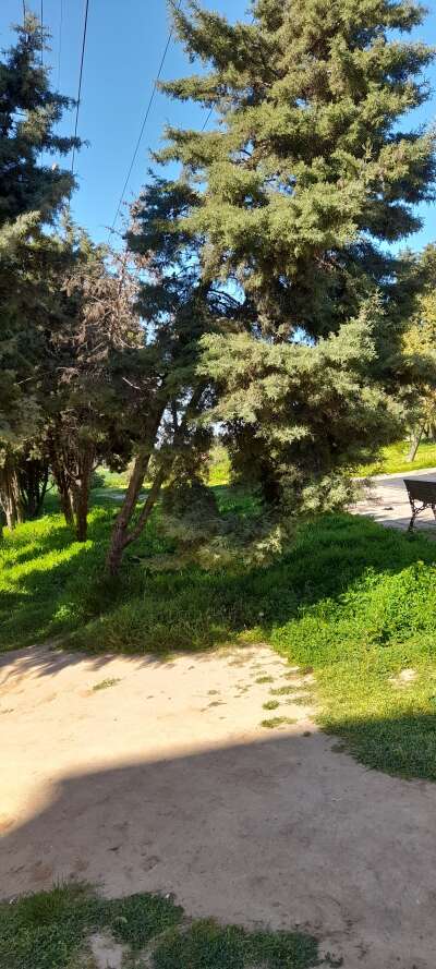 Park ve Bahçe