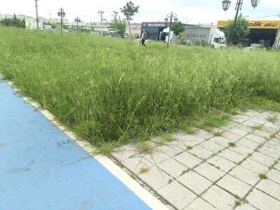 Park ve Bahçe