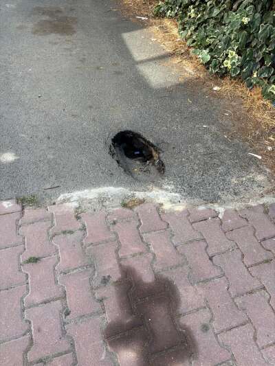 Yol ve Kaldırım