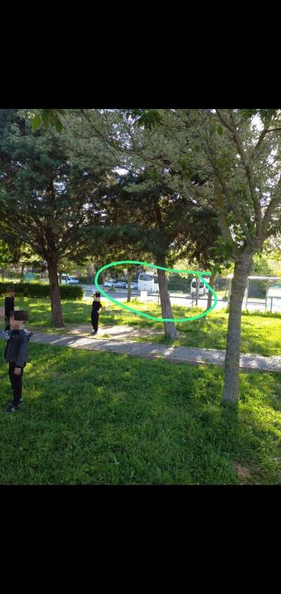 Park ve Bahçe